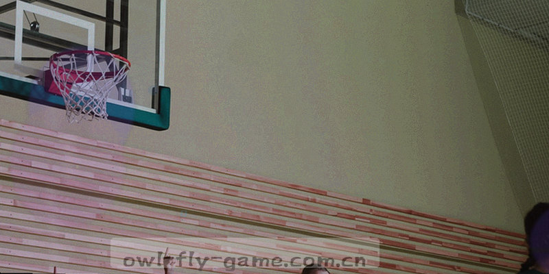 球迷在手机上查看赛事数据，手机屏幕显示赛程